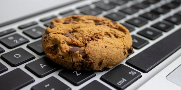 Choc chip cookie on laptop