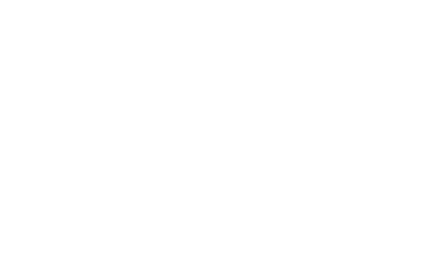 ANS Logo