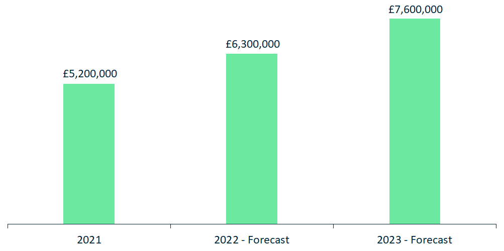 Revenue_Forecast_2021[1]