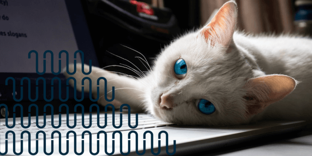 home working cat 620 x 310 (1)
